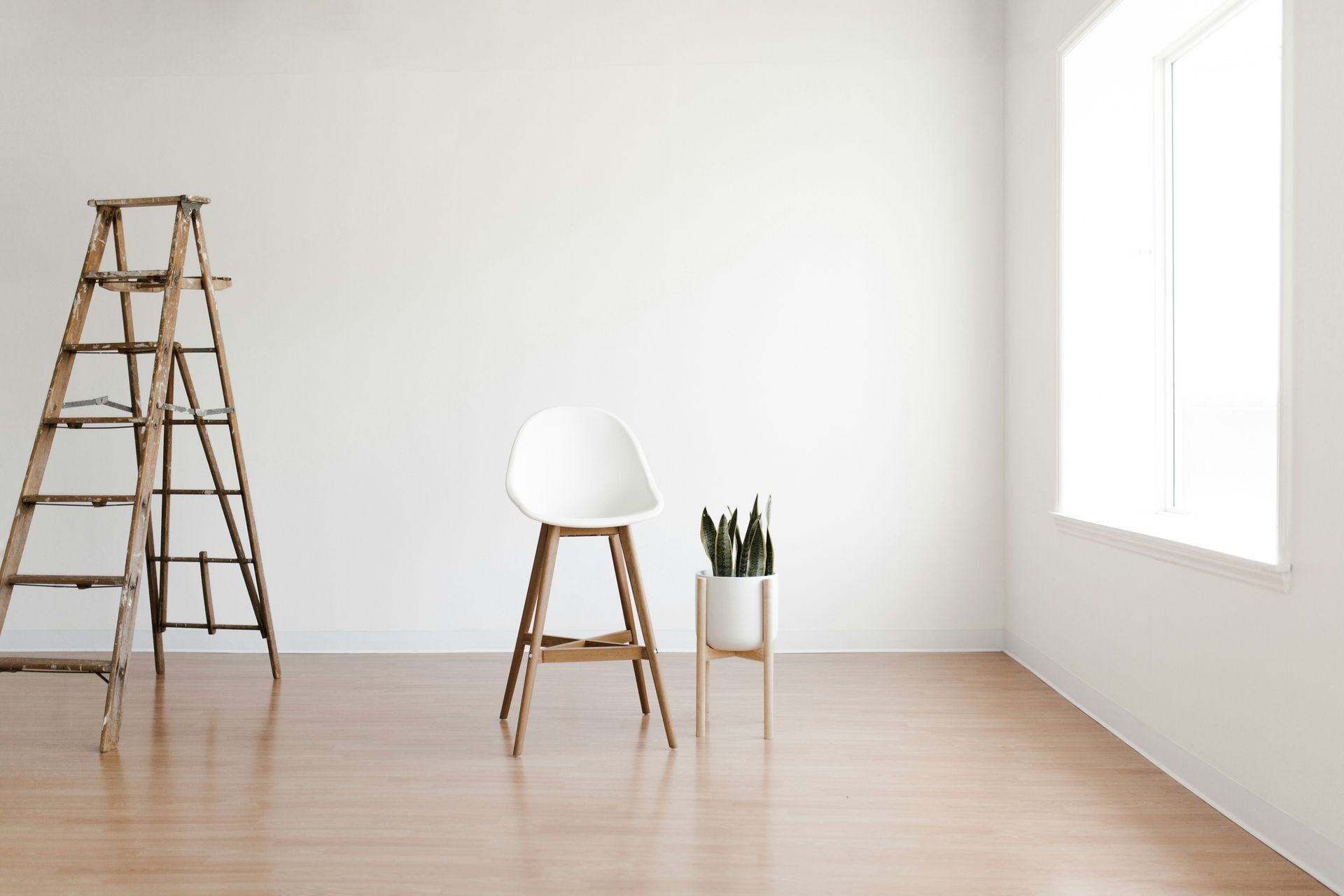 A wooden ladder, a white bar stool, and a snake plant in a room